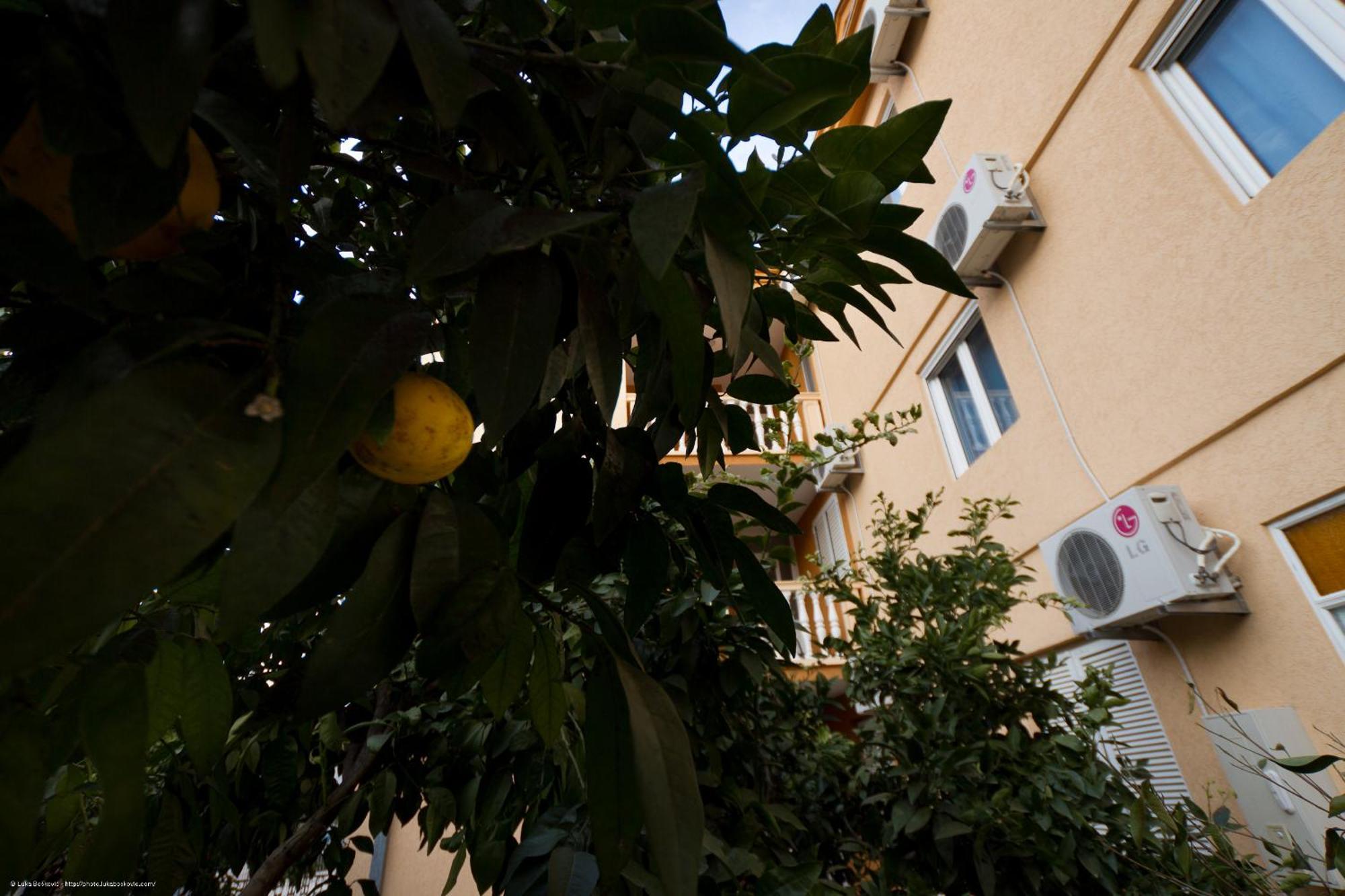Apartments Dalila أولتْسي المظهر الخارجي الصورة